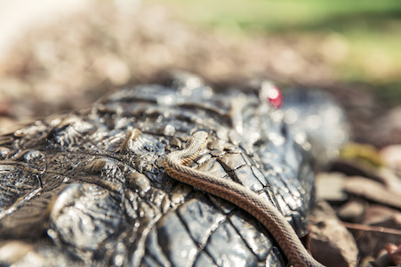 Why the only thing to fear is fear itself.-thumbnail image