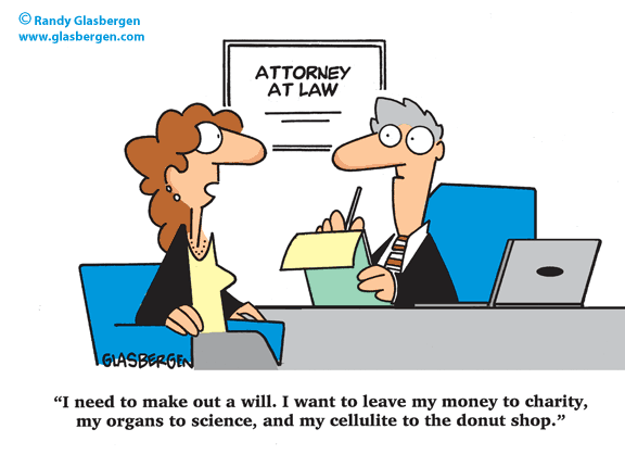 organs and cellulite