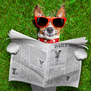planned giving newsletter